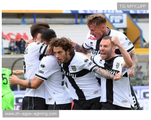 以重生经营为主题的意甲球队小说推荐及内容解析